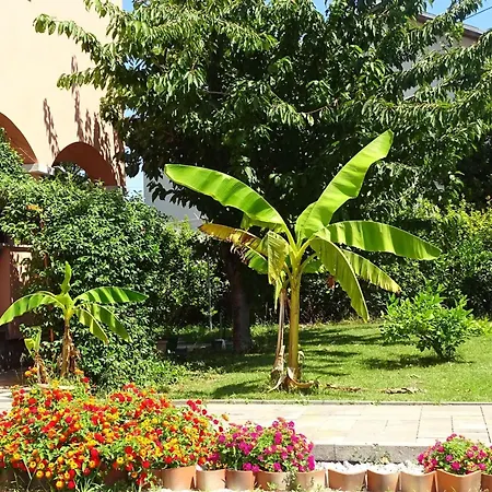 Apartment Luna - Two Bedroom Sukošan